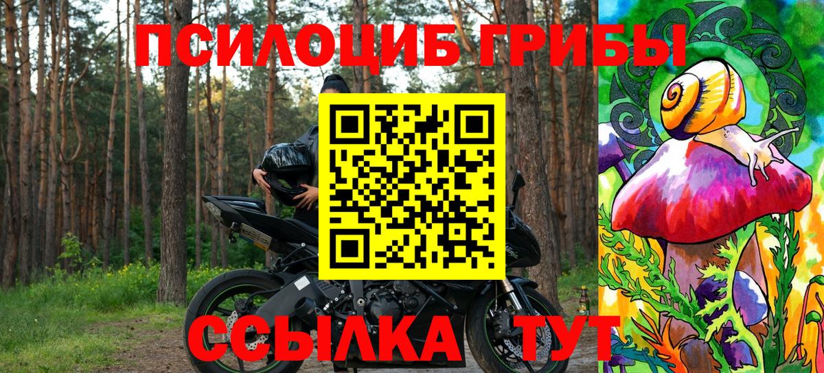 Псилоцибиновые грибы Magic Shrooms Коммунар