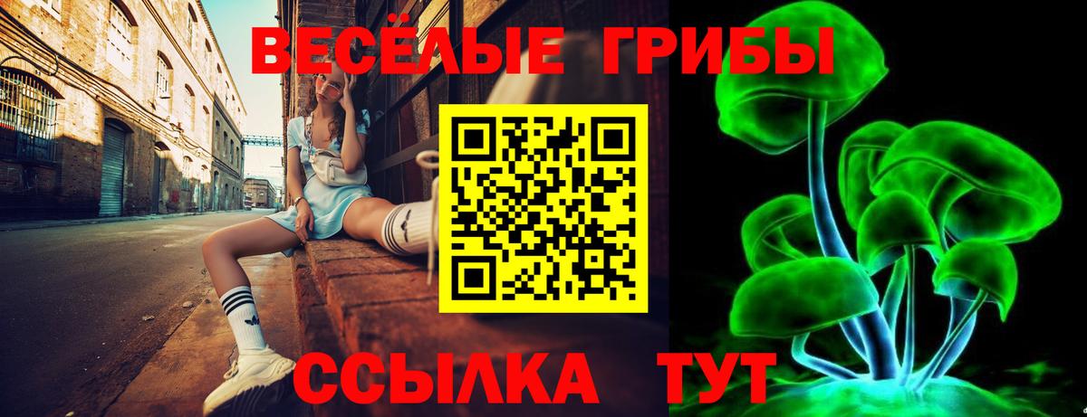 Галлюциногенные грибы прущие грибы  Вход с VPN  Коммунар  Псилоцибиновые грибы Psilocybine cubensis 